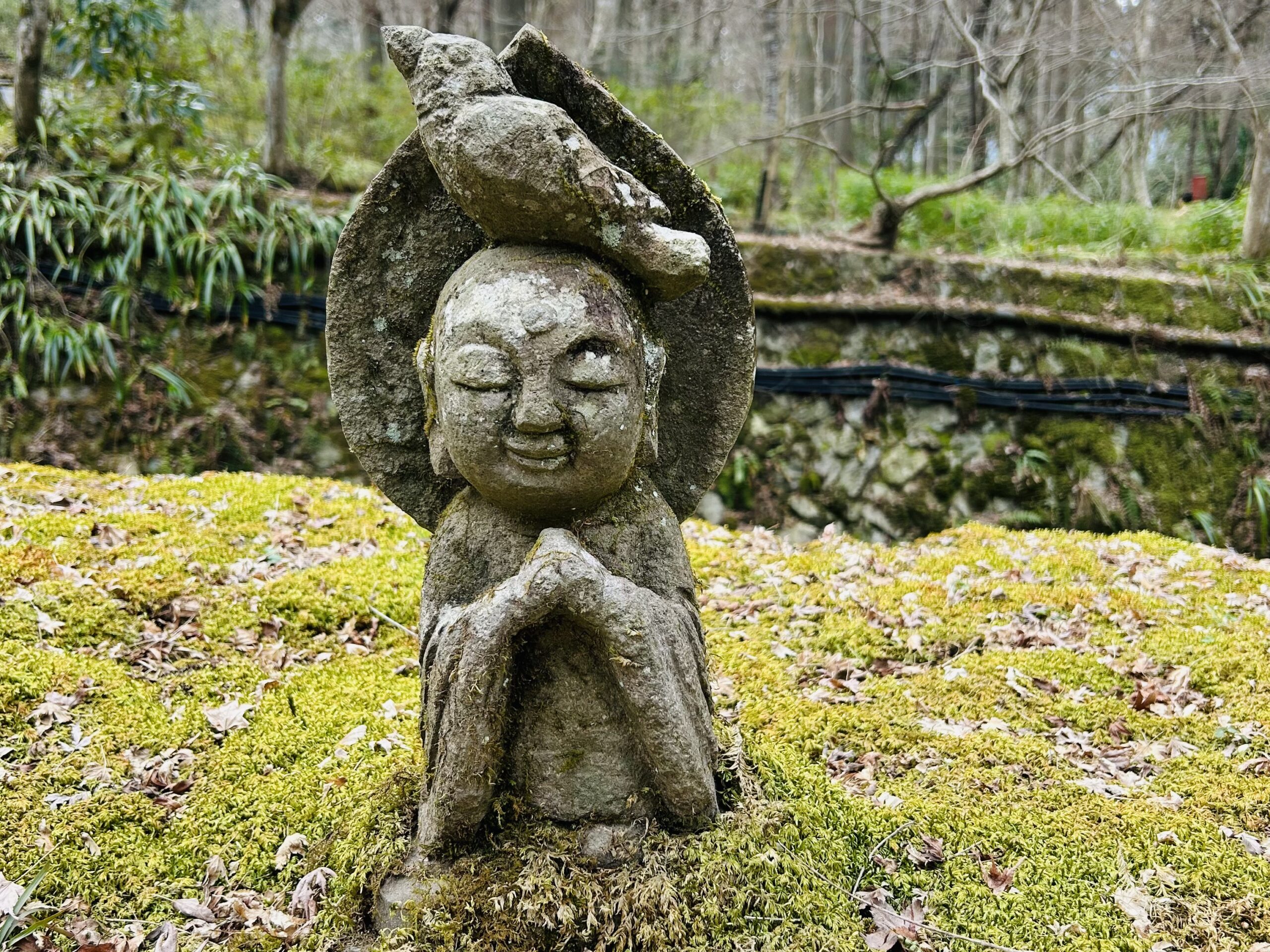 大原さんぽ1 三千院の頭に鳥が乗ったお地蔵さんと来隣のランチ Ohara